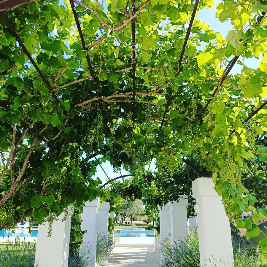 Masseria Almadava Полиняно а Маре Екстериор снимка
